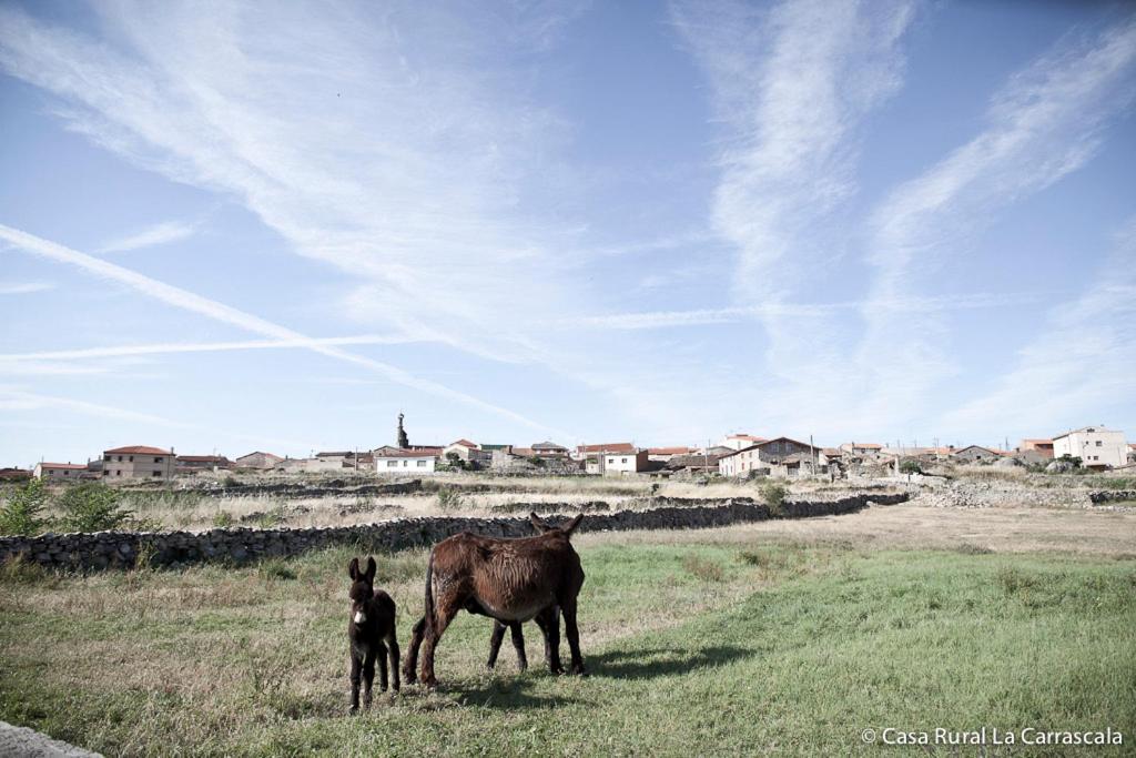 Casa Rural La Carrascala Zamora Kültér fotó